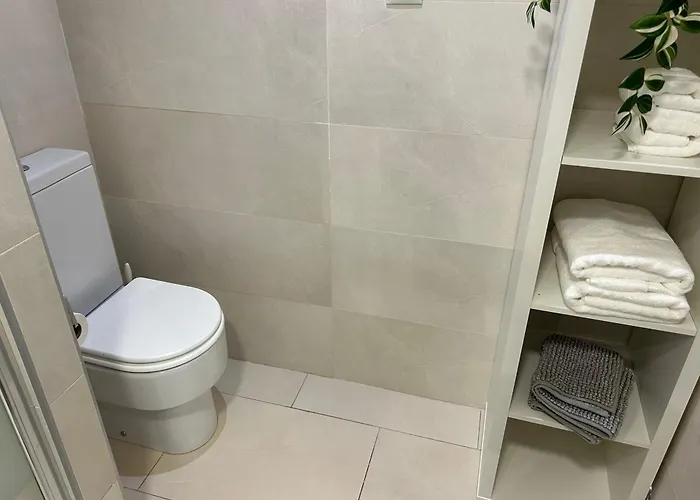 Olas * パルム・マール